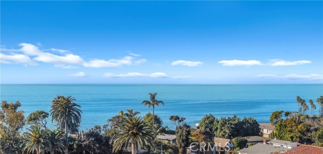 MLS #NP25263709 image #37