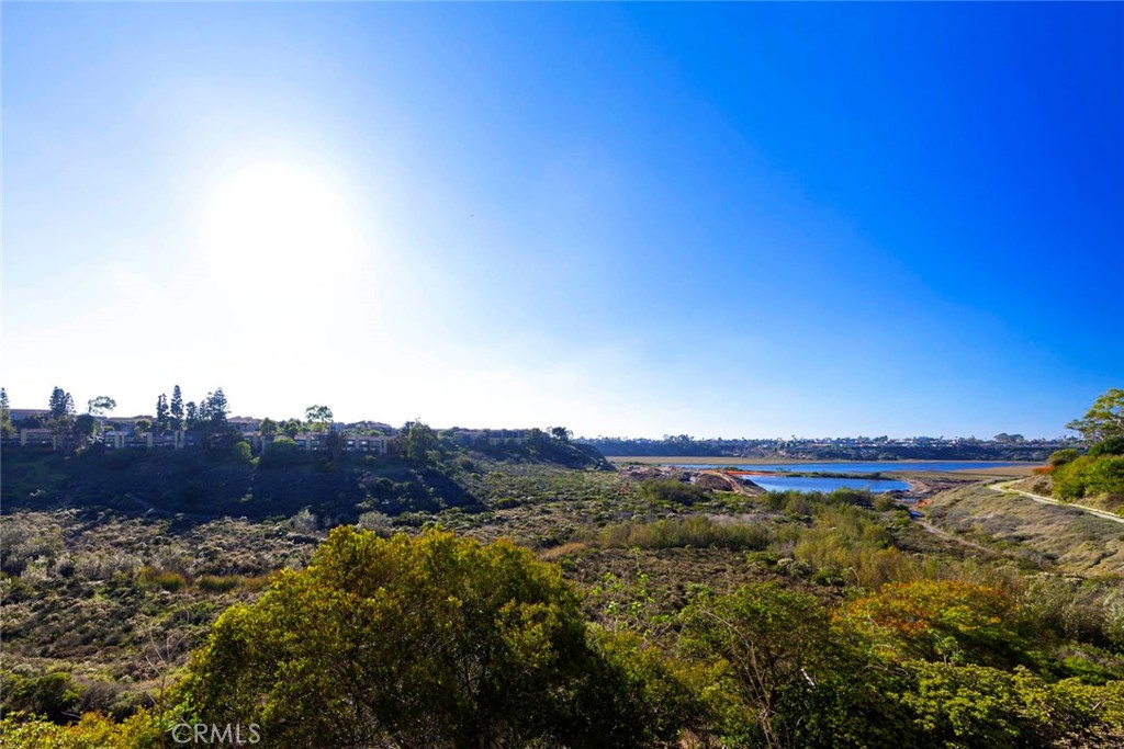 MLS #NP25266379 image #0