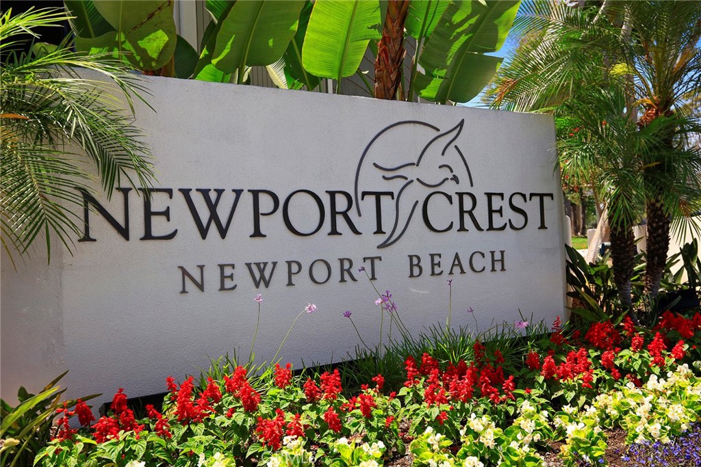 MLS #NP25269315 image #25