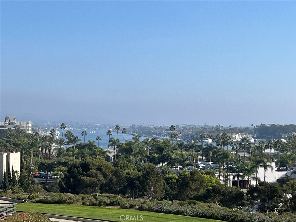 MLS #NP25270095 image #2