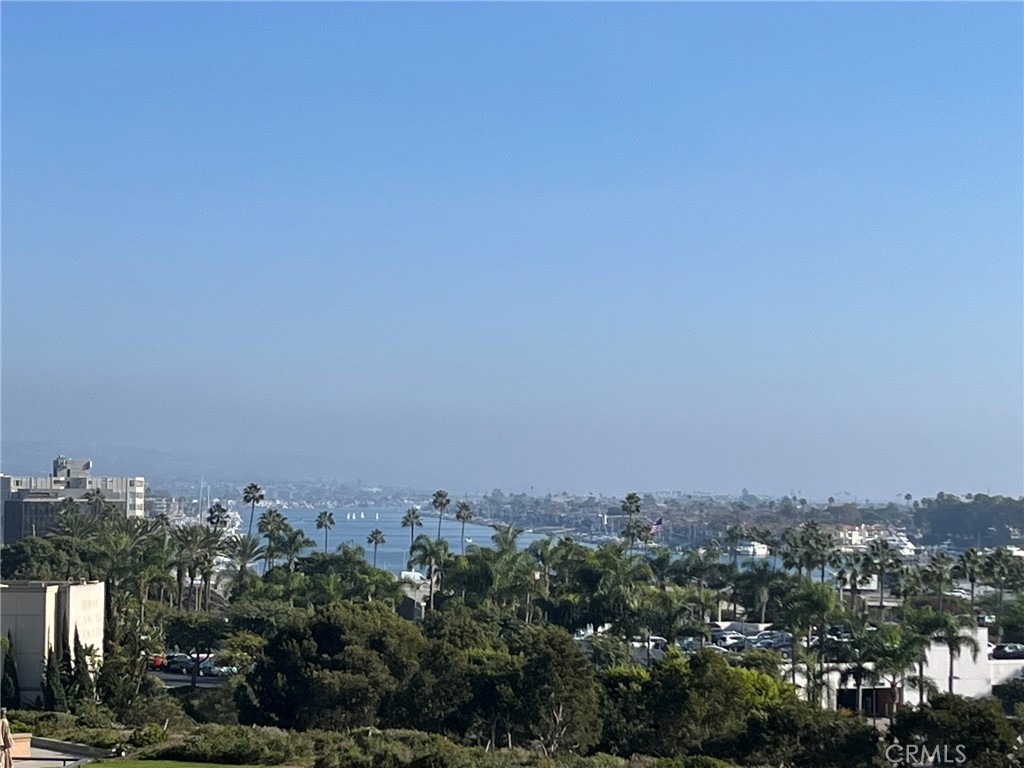 MLS #NP25270095 image #3