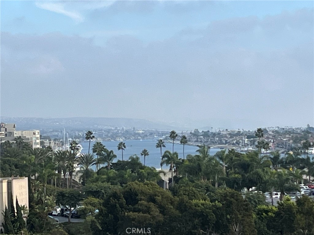 MLS #NP25270095 image #4