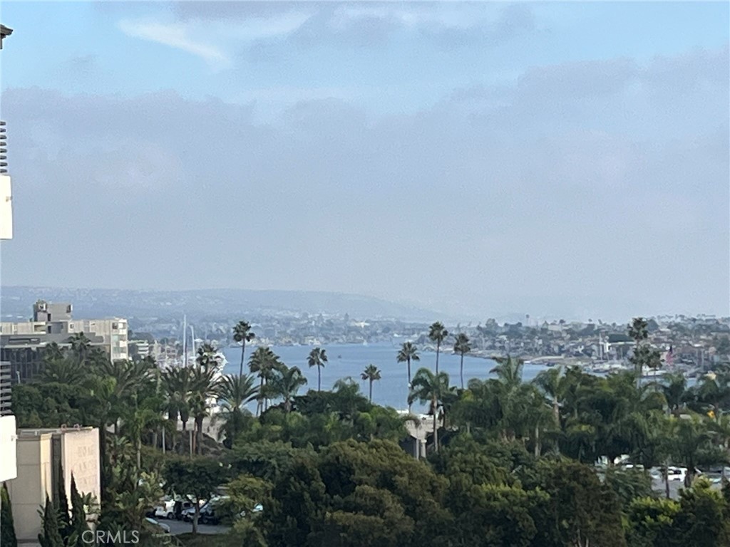 MLS #NP25270095 image #5