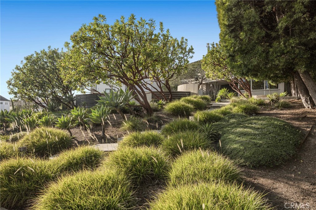 MLS #NP25271243 image #21