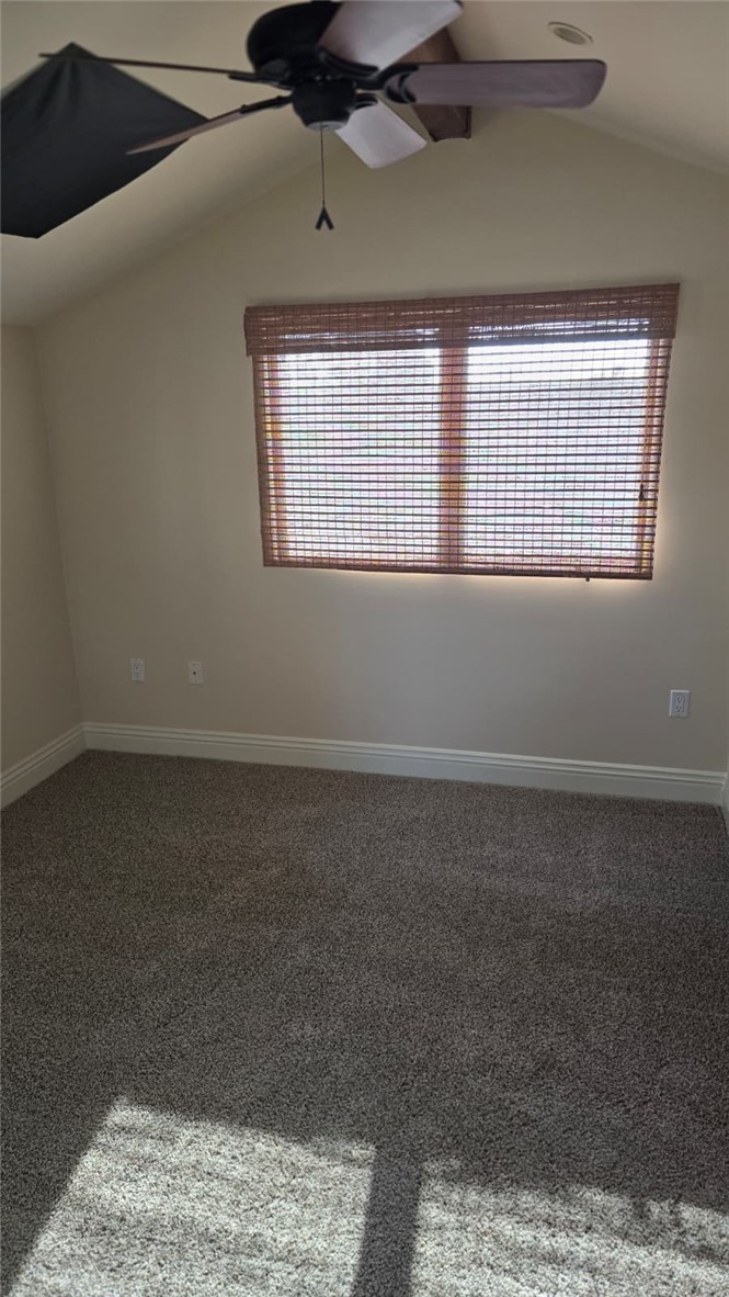 MLS #NP25271427 image #12