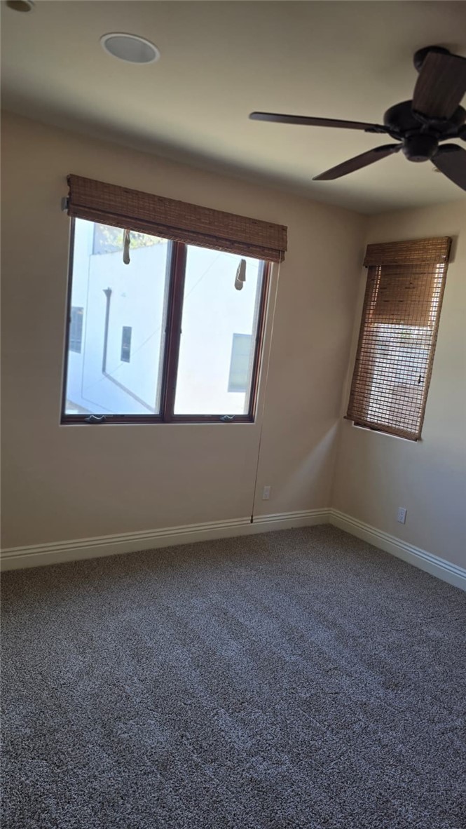 MLS #NP25271427 image #20