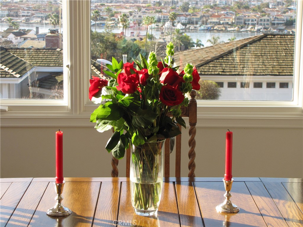 MLS #NP25272157 image #9