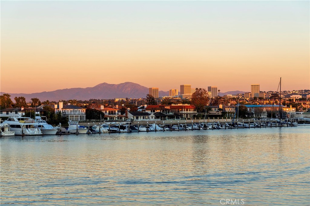 MLS #NP25273782 image #58