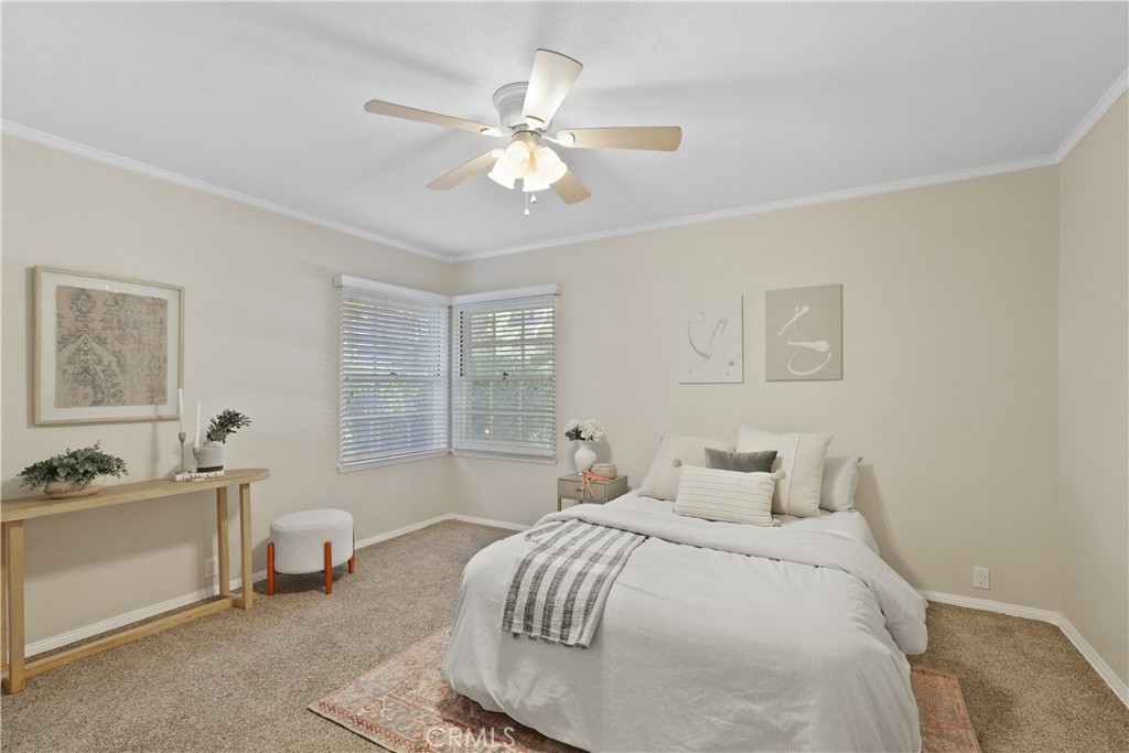 MLS #NP25273839 image #32