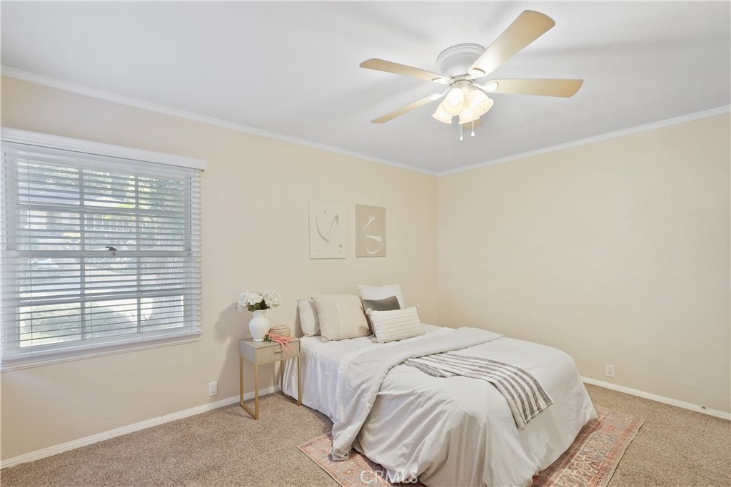 MLS #NP25273839 image #33