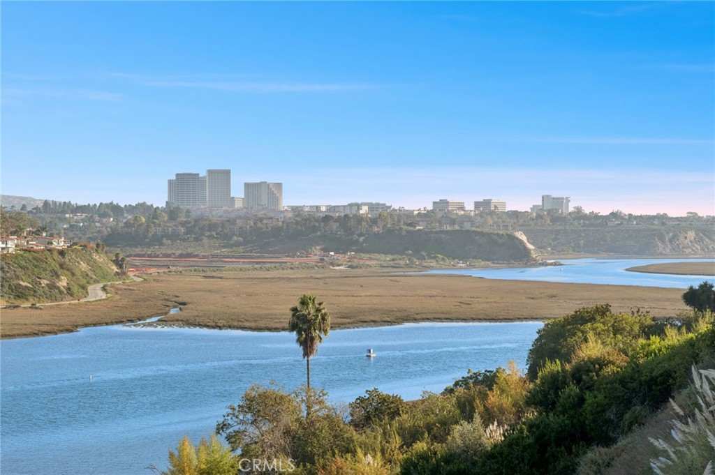 MLS #NP25276858 image #34