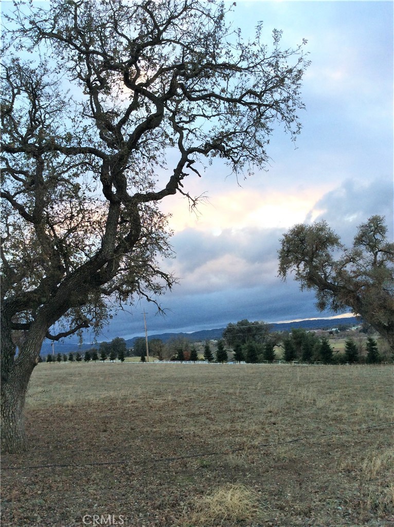 MLS #NS21030197 image #2