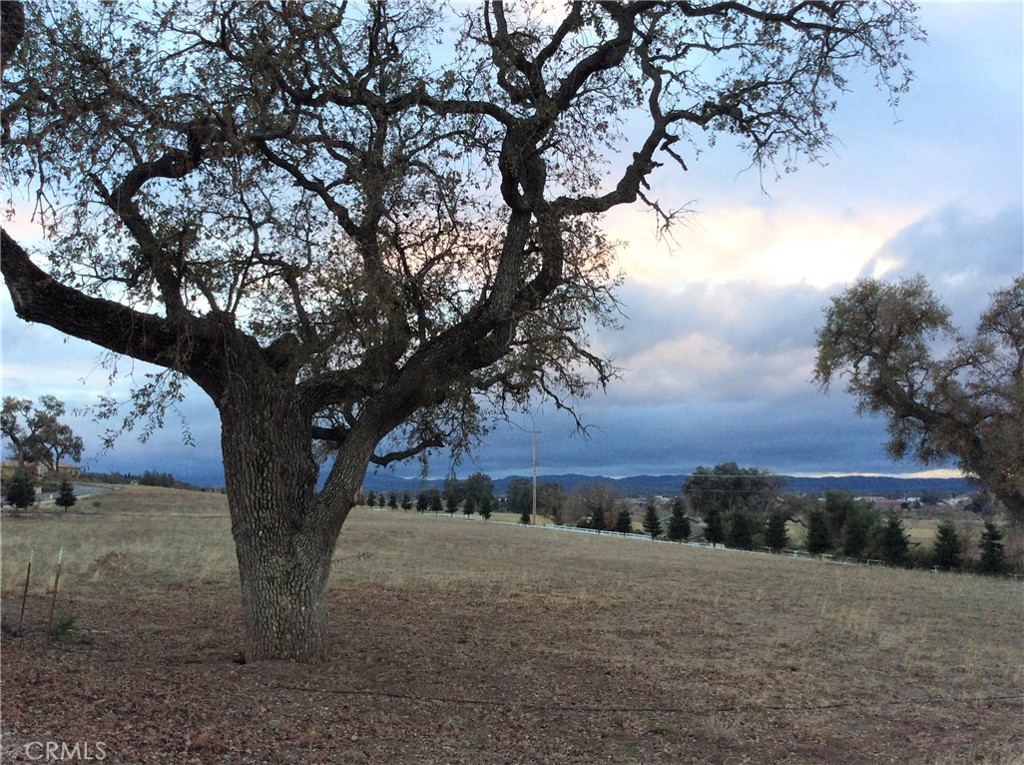 MLS #NS21030197 image #3