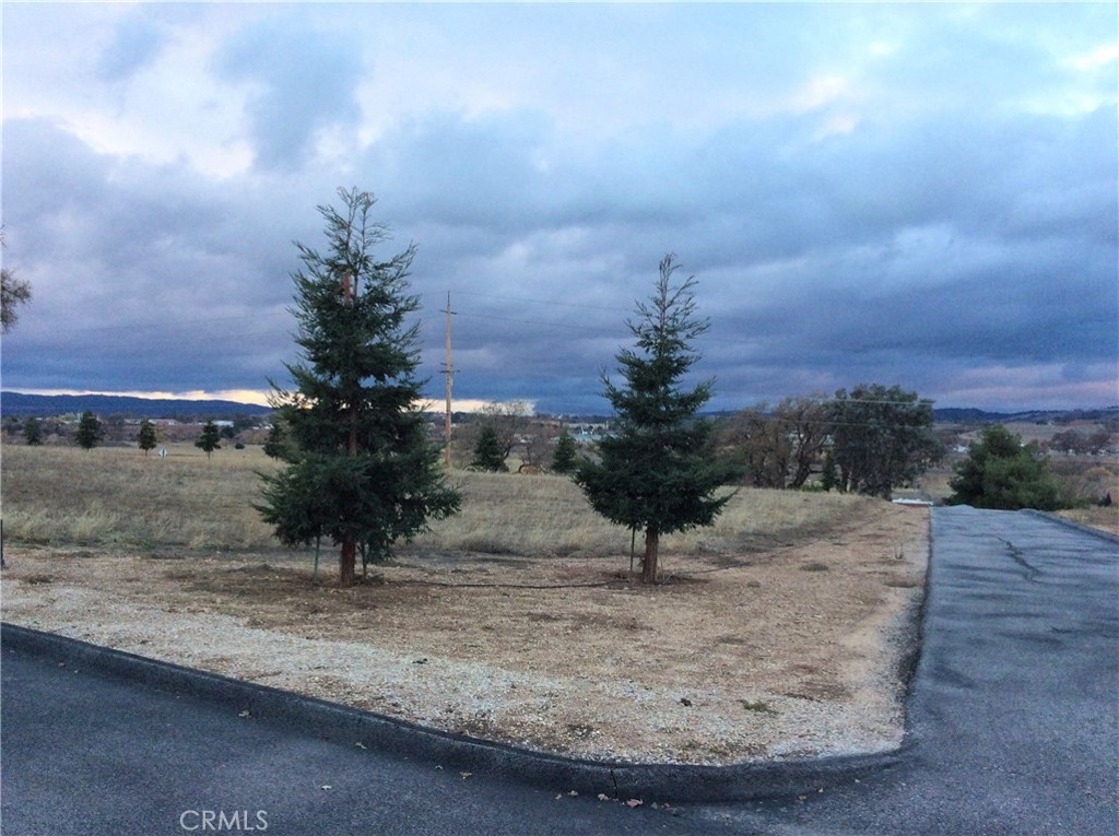 MLS #NS21030197 image #5