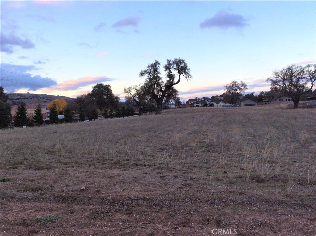 MLS #NS21030197 image #6