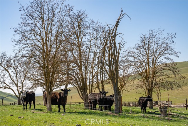 MLS #NS22033159 image #15