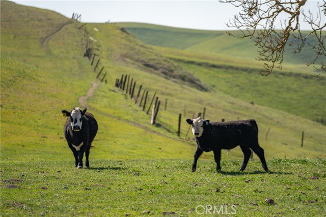 MLS #NS22033159 image #16