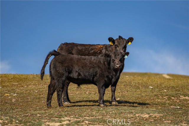 MLS #NS22033159 image #17