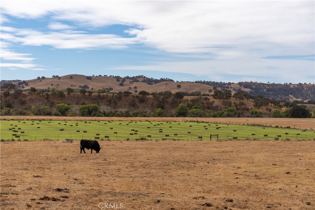 MLS #NS23051529 image #1