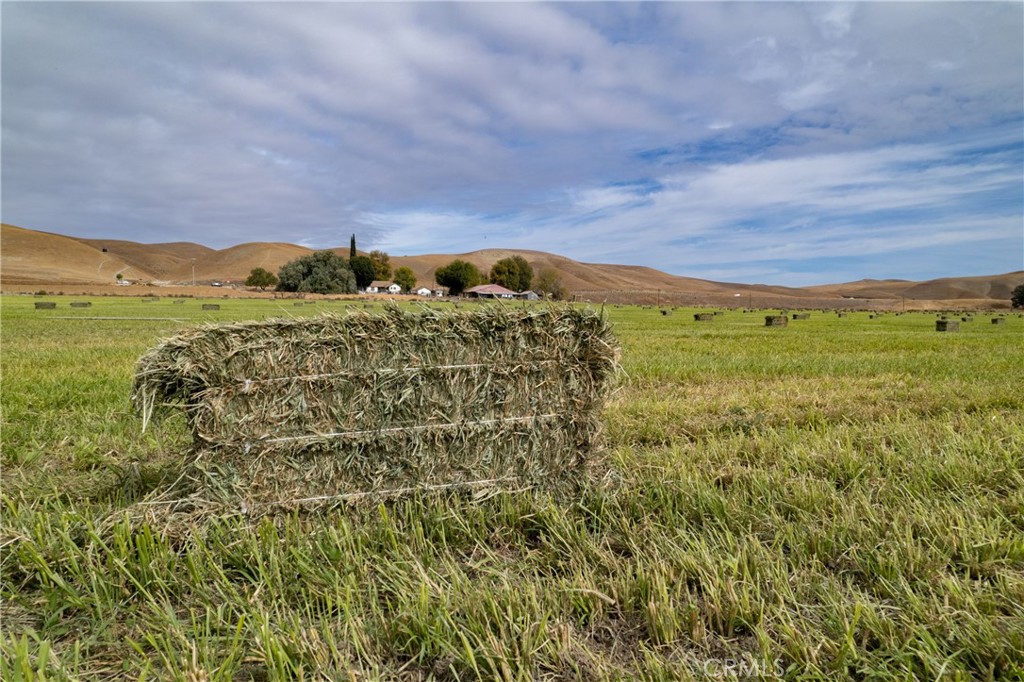 MLS #NS23051529 image #11