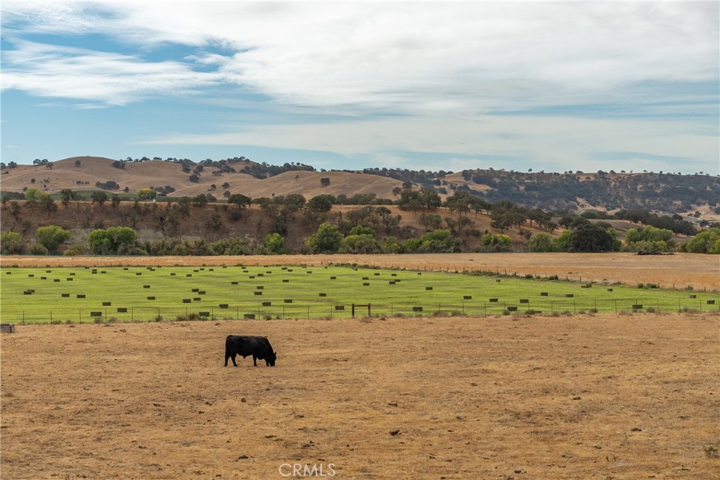 MLS #NS23051529 image #2