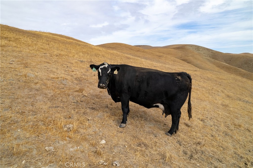 MLS #NS23051529 image #20