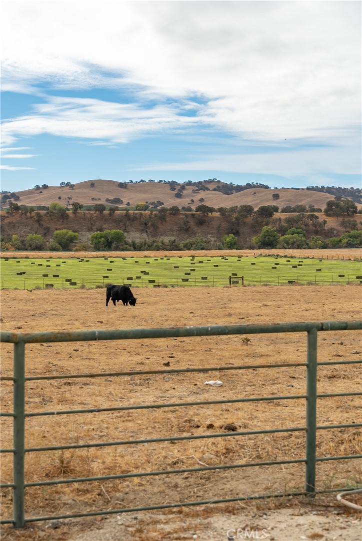 MLS #NS23051529 image #3