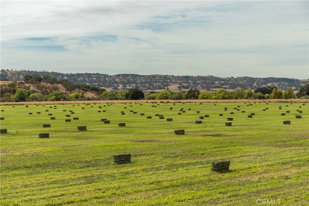 MLS #NS23051529 image #6