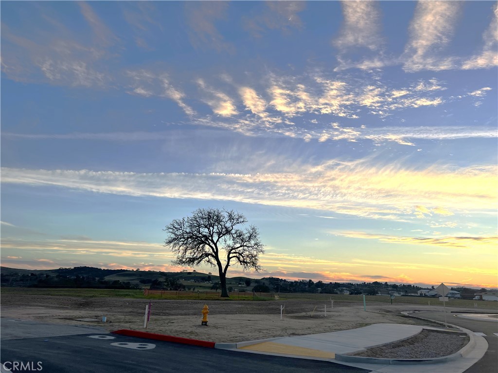 MLS #NS23168912 image #14