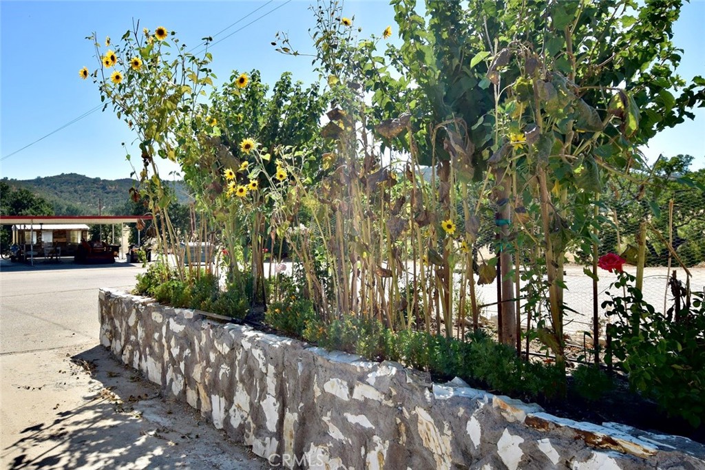 MLS #NS24033548 image #37