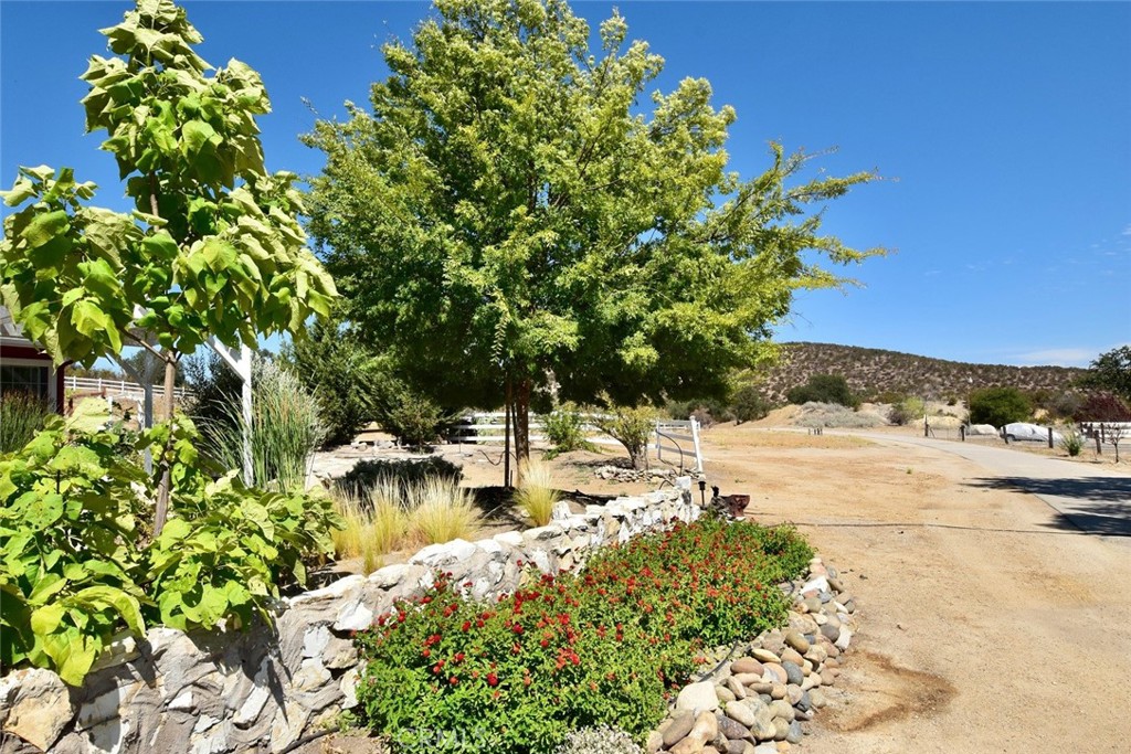 MLS #NS24033548 image #41