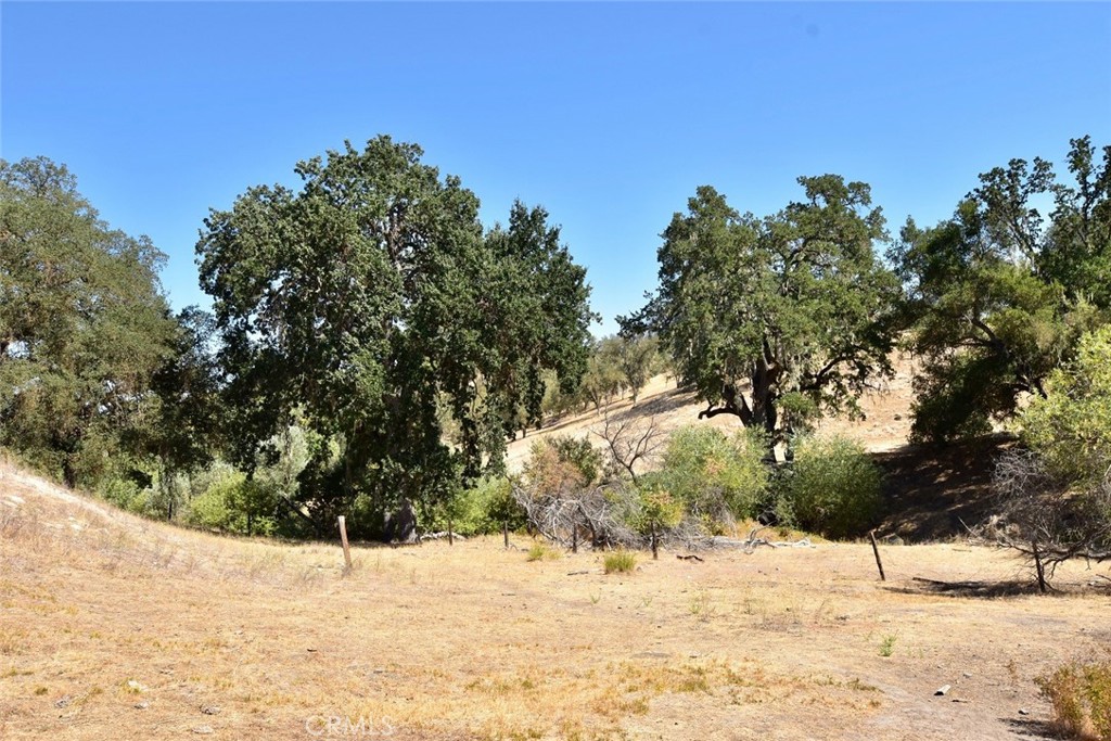 MLS #NS24033548 image #50