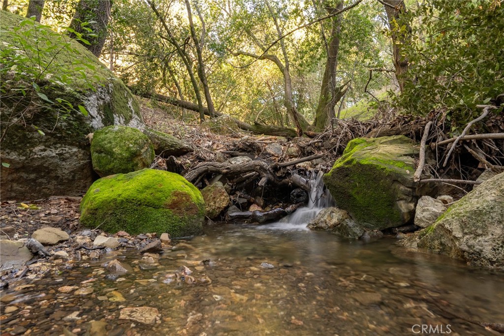 MLS #NS24042688 image #15