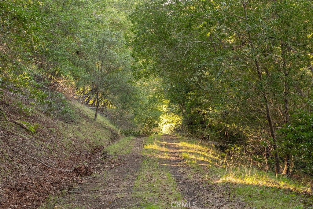 MLS #NS24042688 image #16