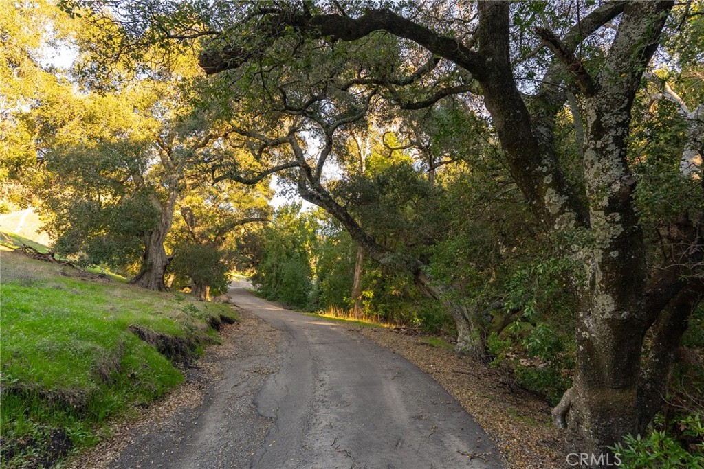 MLS #NS24042688 image #22