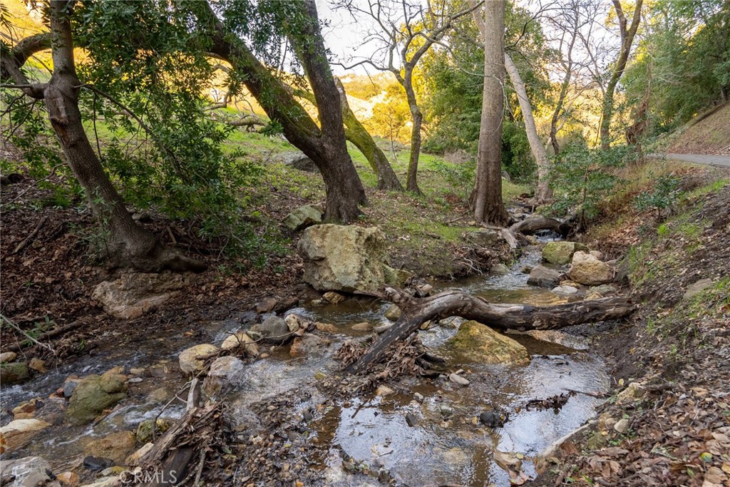 MLS #NS24042688 image #24