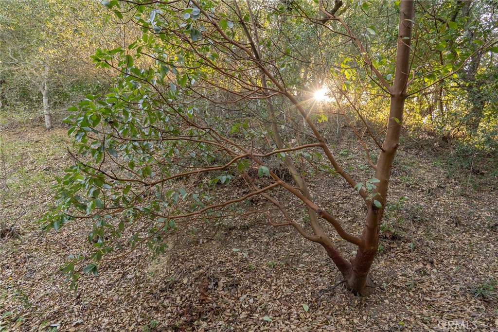 MLS #NS24042688 image #9