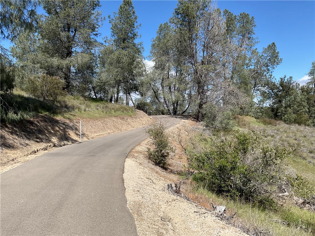 MLS #NS24059098 image #11