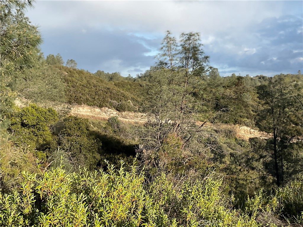 MLS #NS24059098 image #13