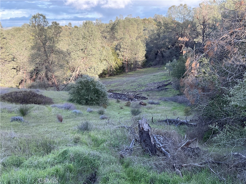 MLS #NS24059098 image #14