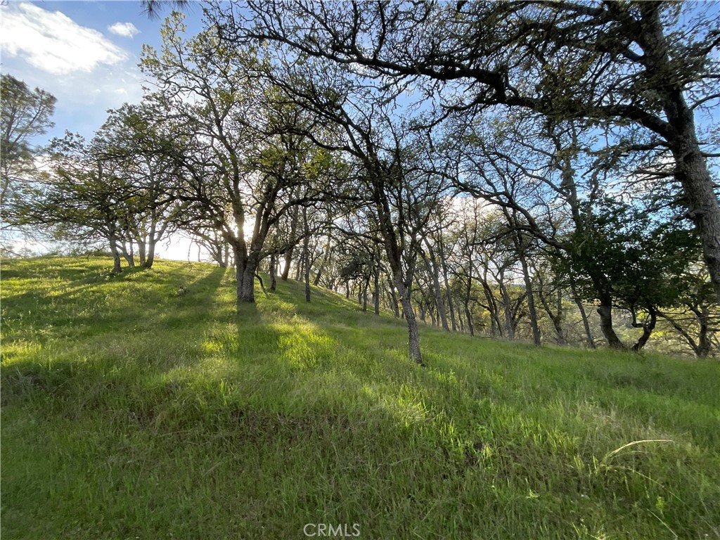 MLS #NS24059098 image #16