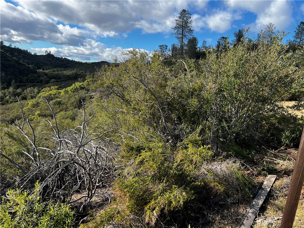 MLS #NS24059098 image #5