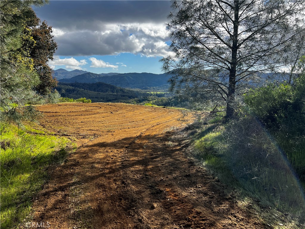 MLS #NS24059098 image #6