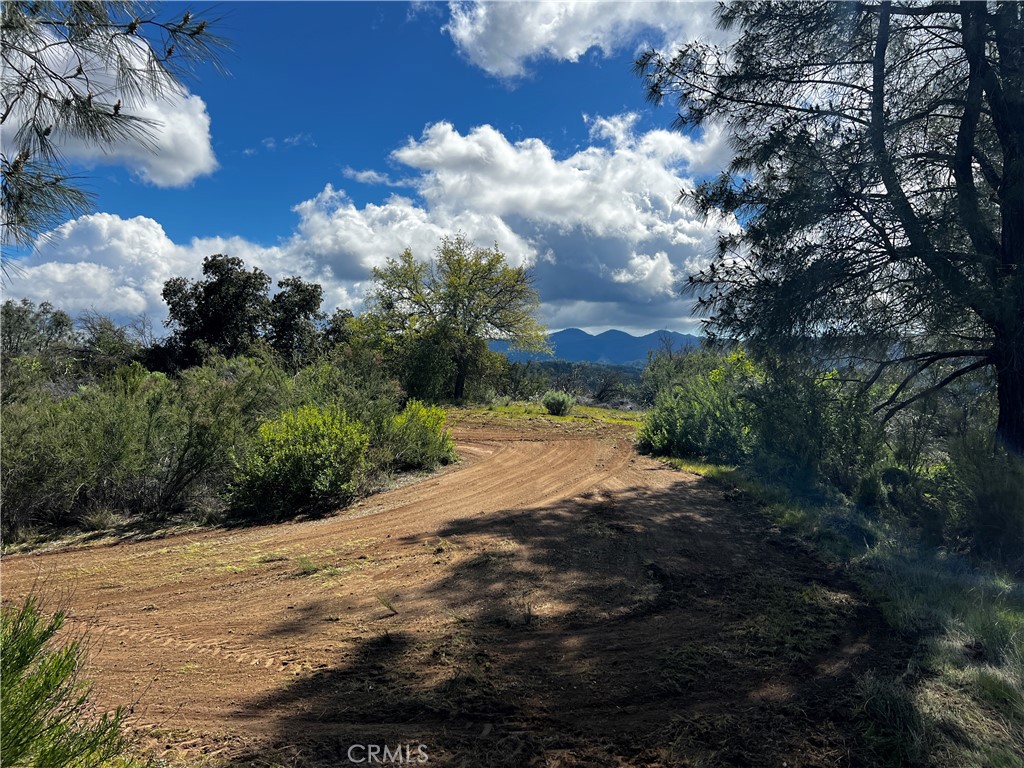 MLS #NS24059098 image #7