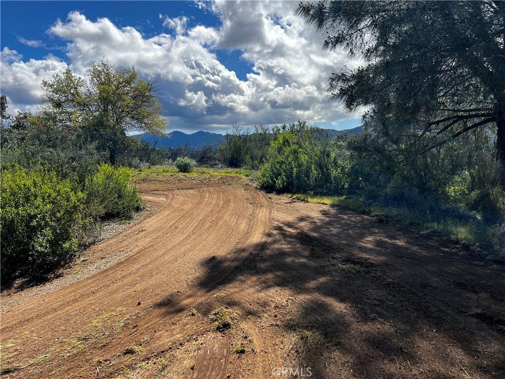 MLS #NS24059098 image #8