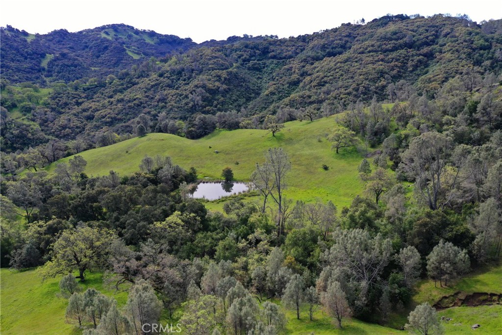 MLS #NS24073853 image #17