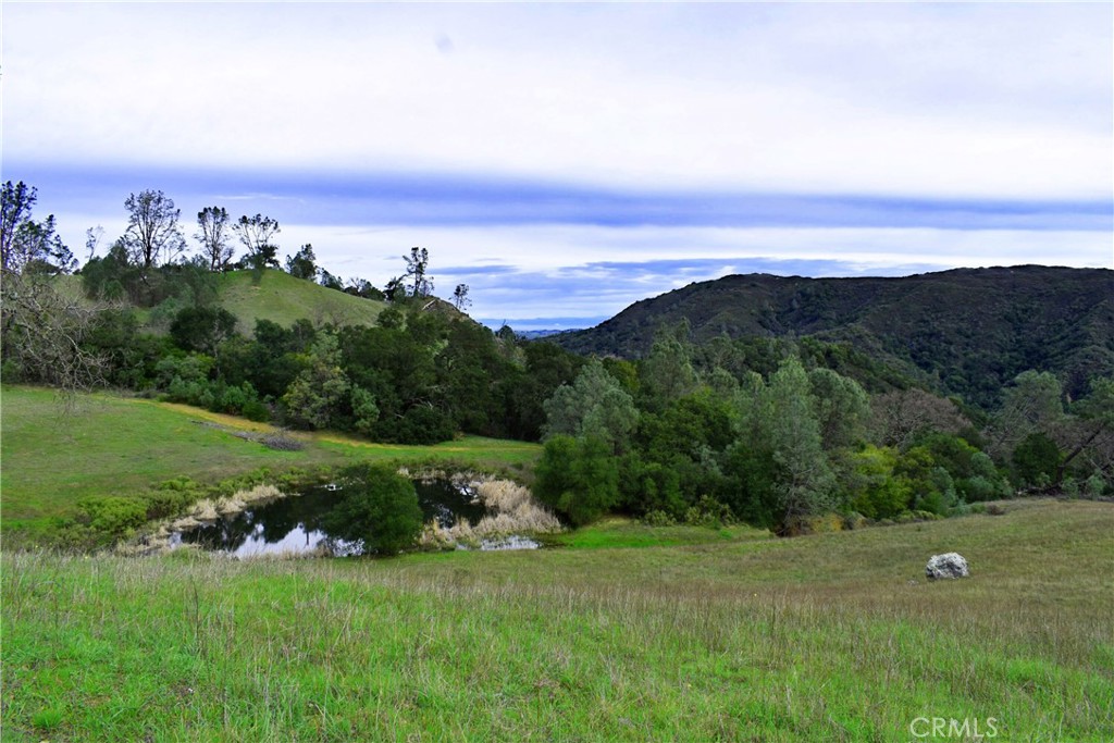 MLS #NS24073853 image #5