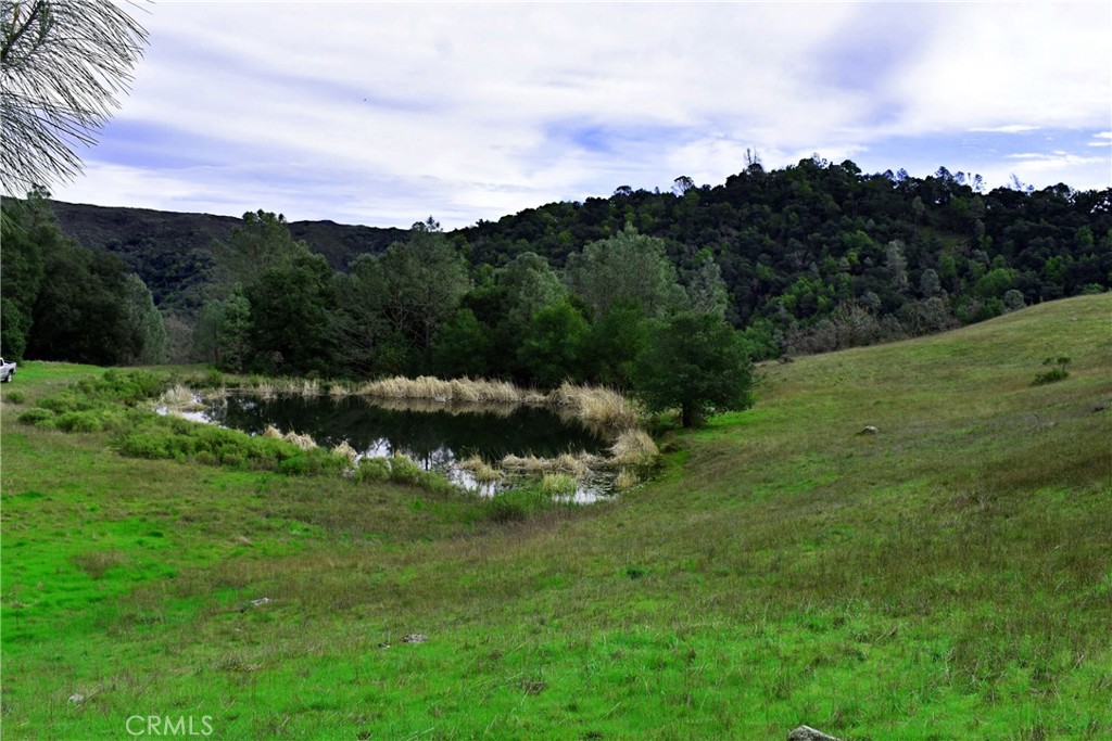 MLS #NS24073853 image #6