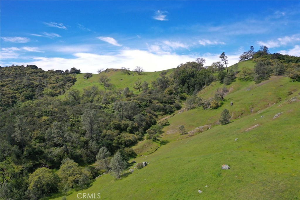 MLS #NS24073853 image #8