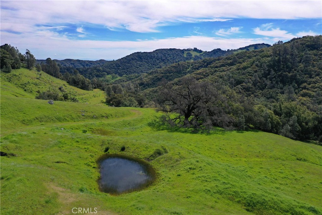 MLS #NS24073853 image #9